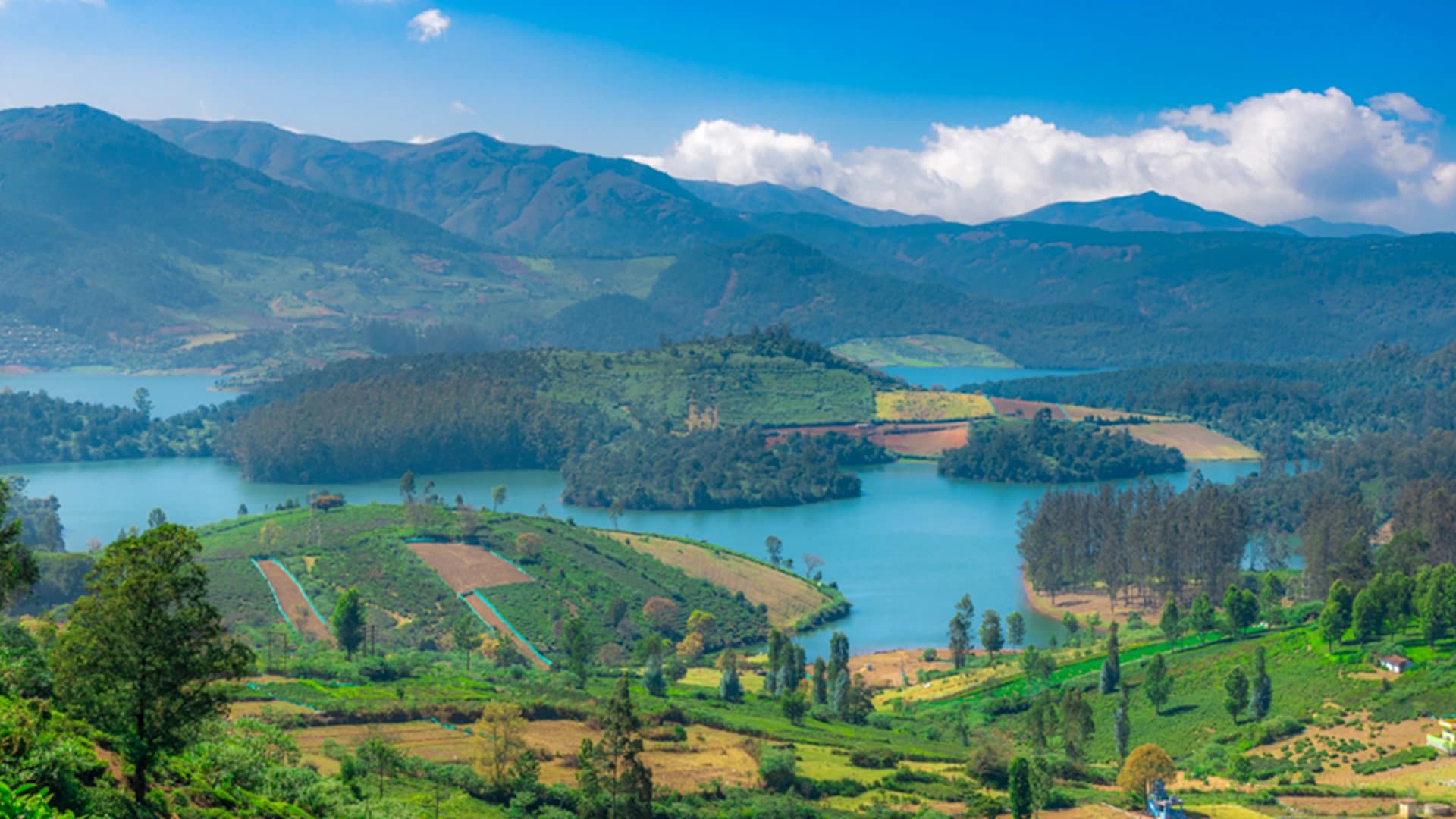 Ooty
